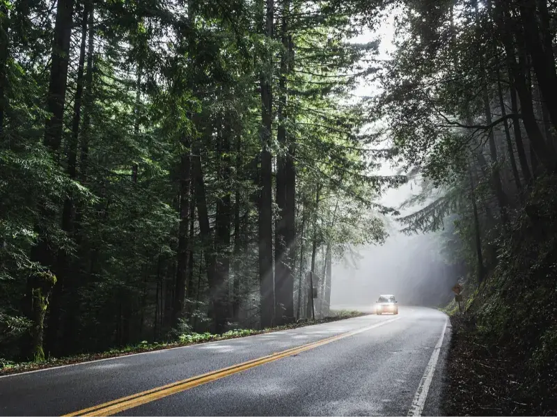 Solo Road Trip Guide for Safe and Epic Adventures