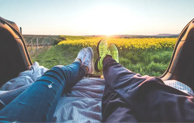 Traveling With a Trip Companion