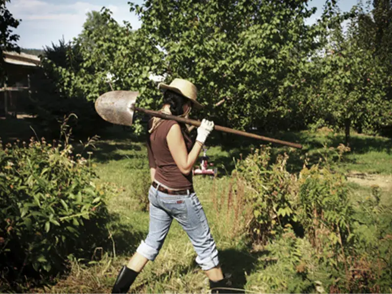 WWOOFing for Solo Travelers | Best Tips and Places